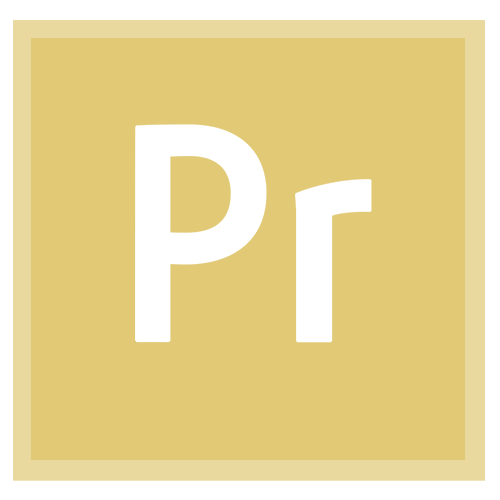 premiere pro icon